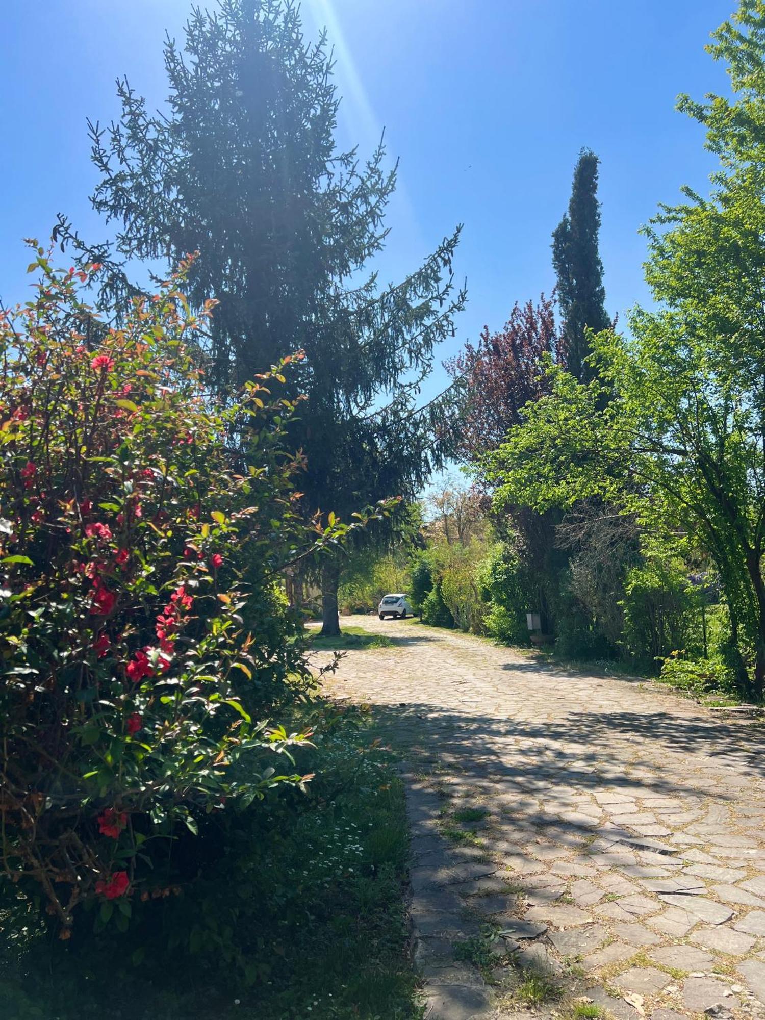 Villa Alberto Сулмона Екстериор снимка